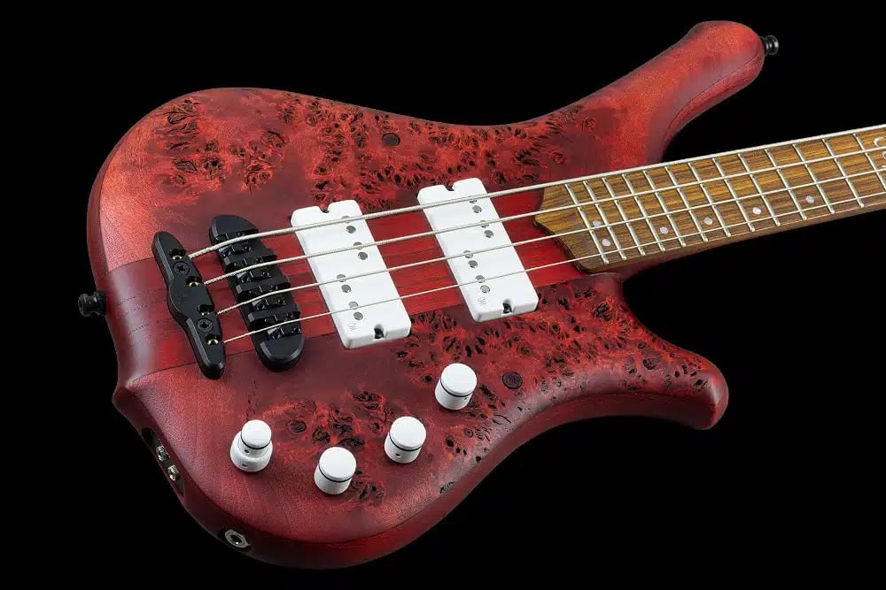 Bass of the Week: Mayones Guitars Comodous Custom Short-Scale Dual Output